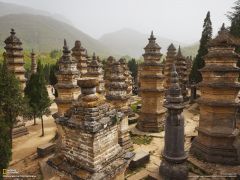 Tapeta National Geographic 309.jpg